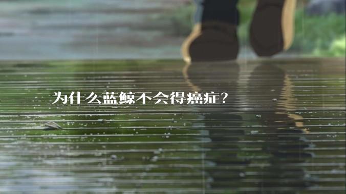 为什么蓝鲸不会得癌症？